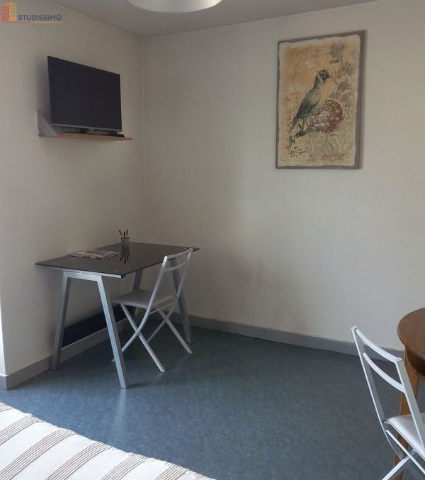 Studio meublé 20m² Poitiers centre - Meublé, calme - Photo 7