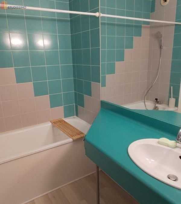 Studio 20m² Chasseneuil-du-Poitou - DPE F - Photo 5