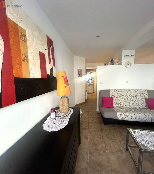 Studio 35m² Prats-de-Mollo-la-Preste - lumineux - Photo 3