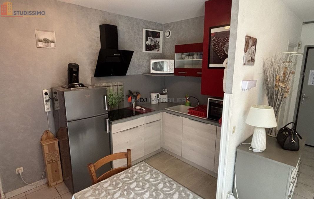 Studio 28m² Amélie-les-Bains-Palalda - DPE C - Photo 8