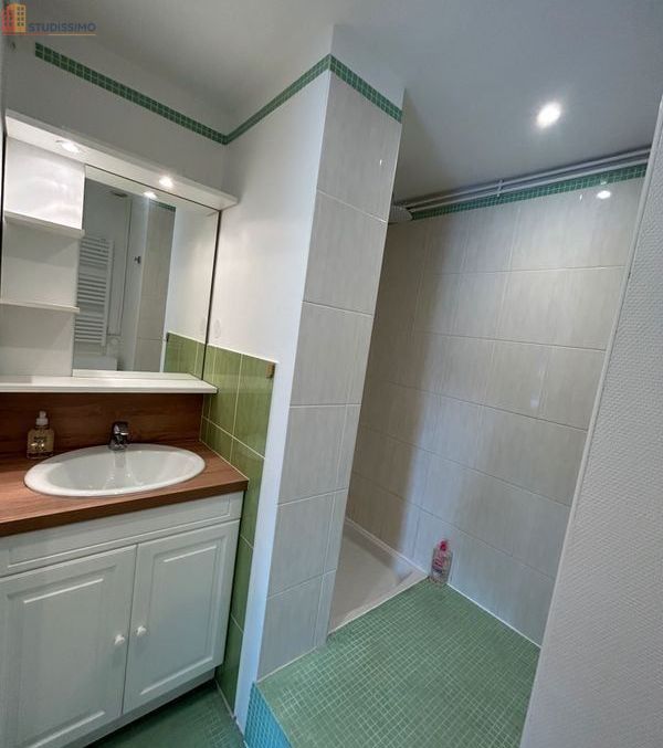 Studio 15m² Poitiers - Meublé, calme - Photo 3