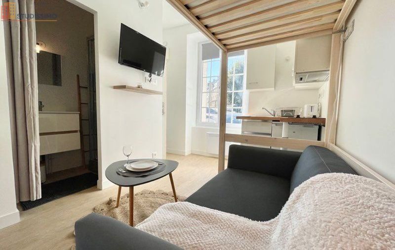 Studio meublé 11m² Poitiers centre-ville - Meublé, calme - Photo 4