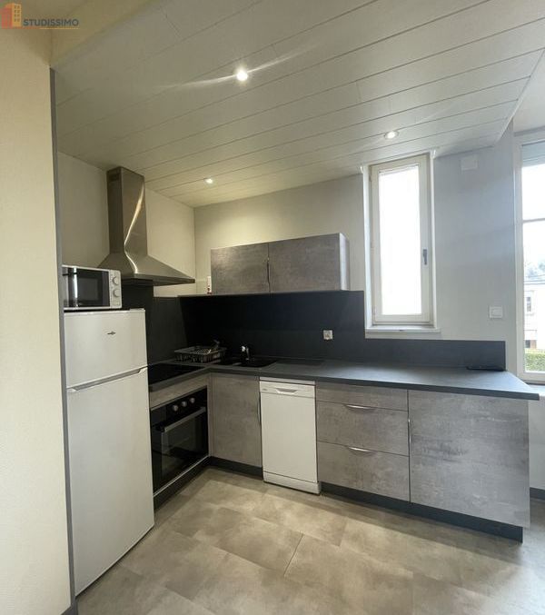 Studio meublé 24m² Vittel - Meublé, 1 pièce - Photo 3