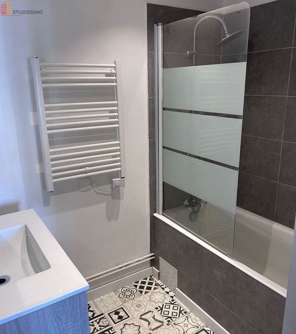 Studio meublé 30m² Épinal - Cosy, dernier étage - Photo 4