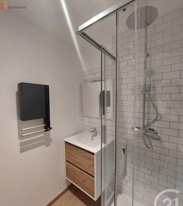 Studio 17m² Saint-Dié-des-Vosges - DPE D - Photo 3