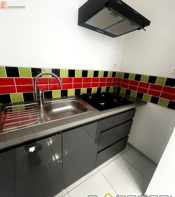 Studio 20m² Saint-Dié-des-Vosges - DPE B - Photo 4