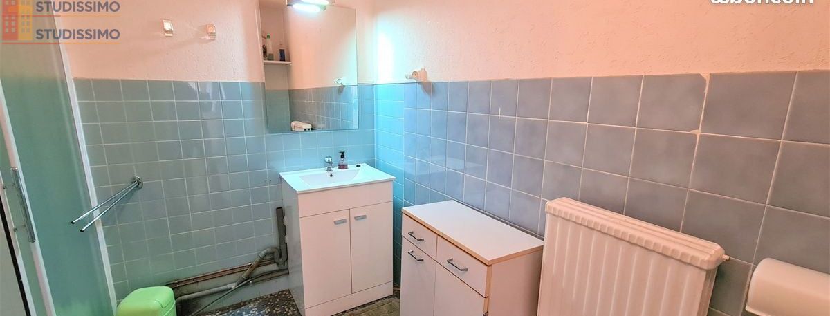 Studio 28m² Amélie-les-Bains-Palalda 66110 - Photo 4