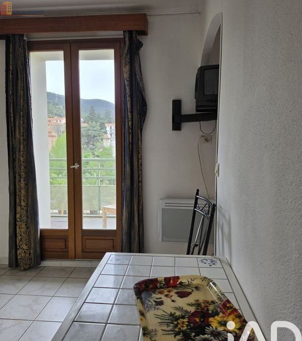 Studio 19m² Amélie-les-Bains-Palalda 66110 - Photo 8