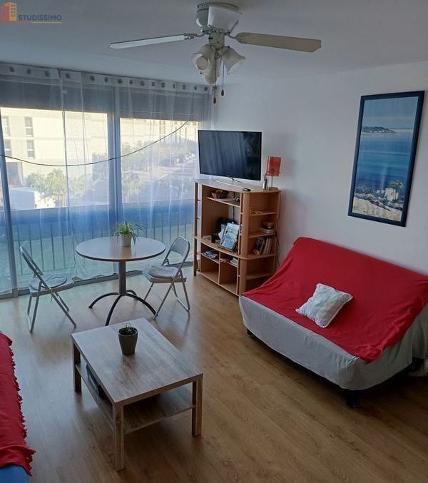 Studio 30m² Saint-Cyprien 66750 - Grand, lumineux - Photo 2