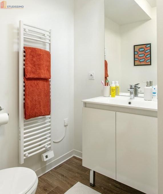 Studio meublé 18m² Limoges centre - Meublé, DPE C - Photo 13