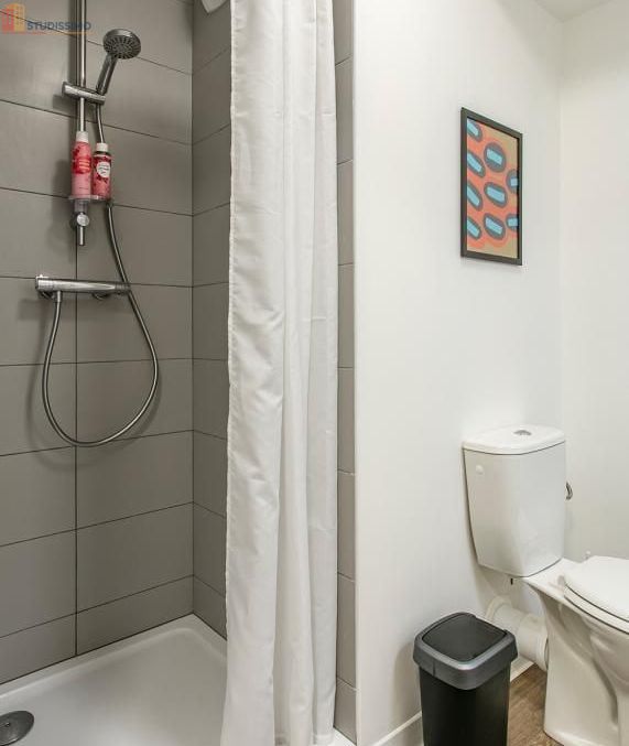 Studio meublé 18m² Limoges centre - Meublé, DPE C - Photo 4