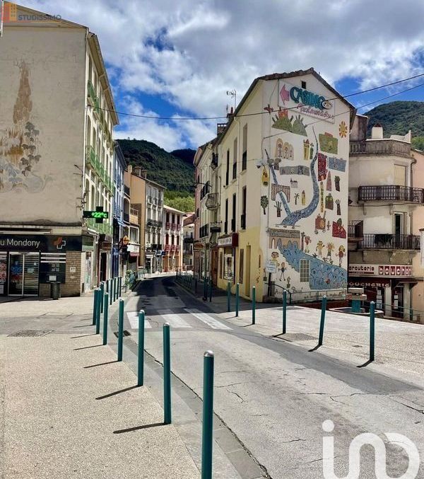 Studio 24m² Amélie-les-Bains-Palalda - lumineux - Photo 1