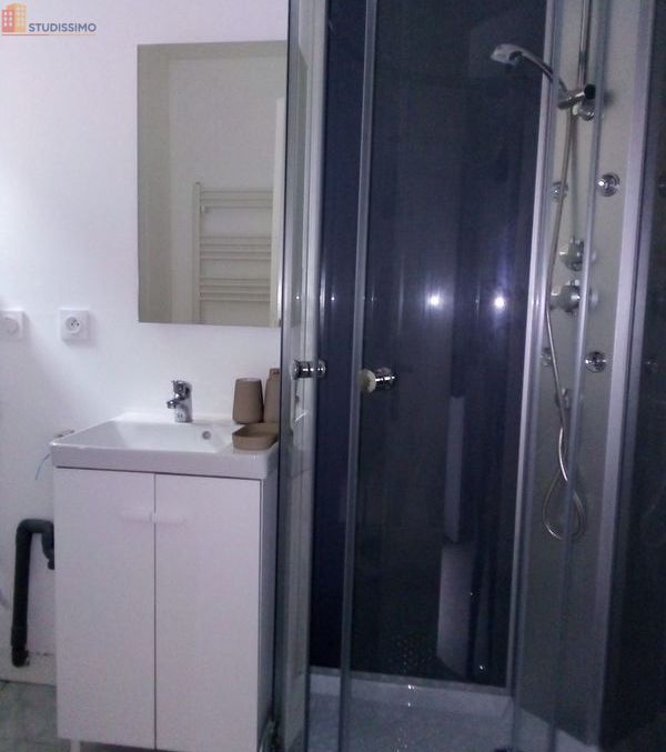 Studio meublé 31m² Saint-Junien - Meublé, DPE D - Photo 8