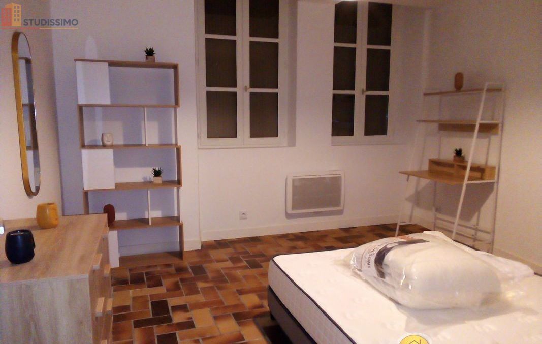 Studio meublé 31m² Saint-Junien - Meublé, DPE D - Photo 4
