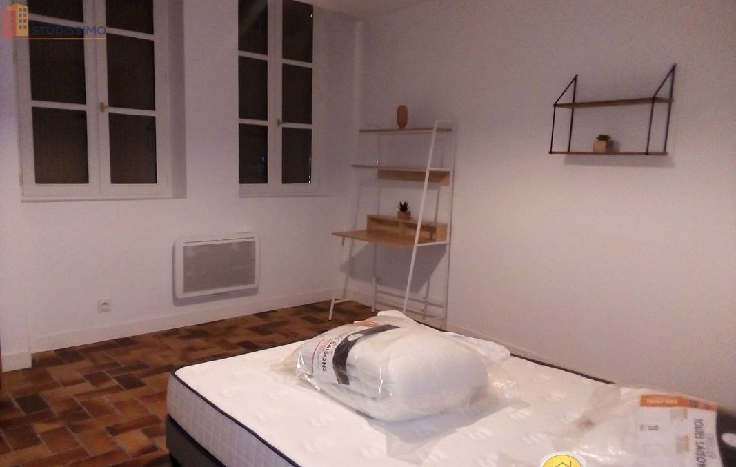 Studio meublé 31m² Saint-Junien - Meublé, DPE D - Photo 3