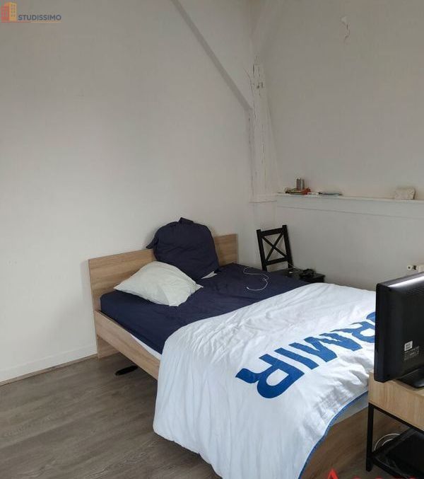 Studio 29m² Limoges - Étage élevé, lumineux - Photo 21