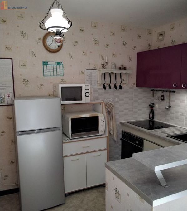 Studio 28m² Amélie-les-Bains-Palalda - Étage calme - Photo 2