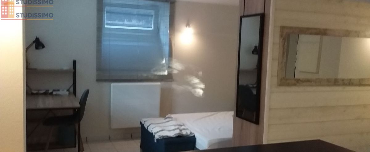 Studio meublé 35m² Saint-Dié-des-Vosges - Meublé, DPE C - Photo 2