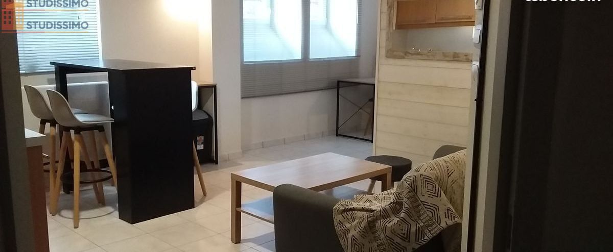 Studio meublé 35m² Saint-Dié-des-Vosges - Meublé, DPE C - Photo 1