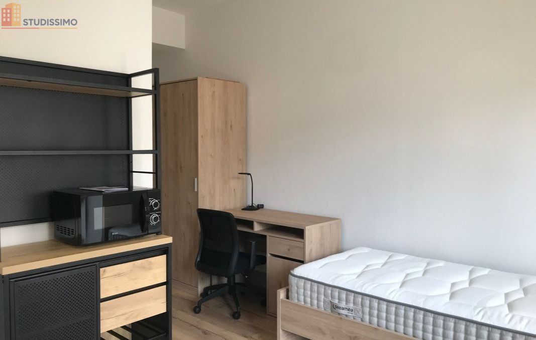 Studio 20m² Saint-Dié-des-Vosges - Meublé, proche gare - Photo 3