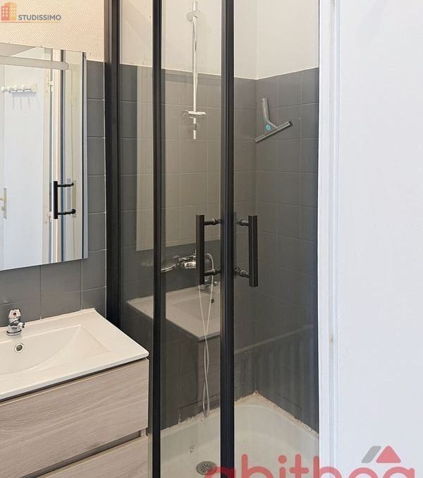 Studio meublé 29m² Limoges 87000 - Meublé, DPE C - Photo 5