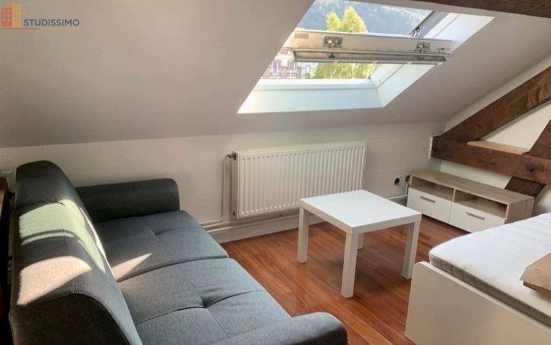 Studio 19m² Saint-Dié-des-Vosges - 3e étage, DPE C - Photo 1