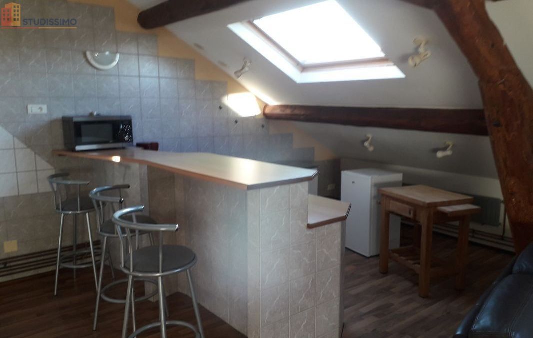 Studio 55m² Raon-l'Étape - Meublé, dernier étage - Photo 2