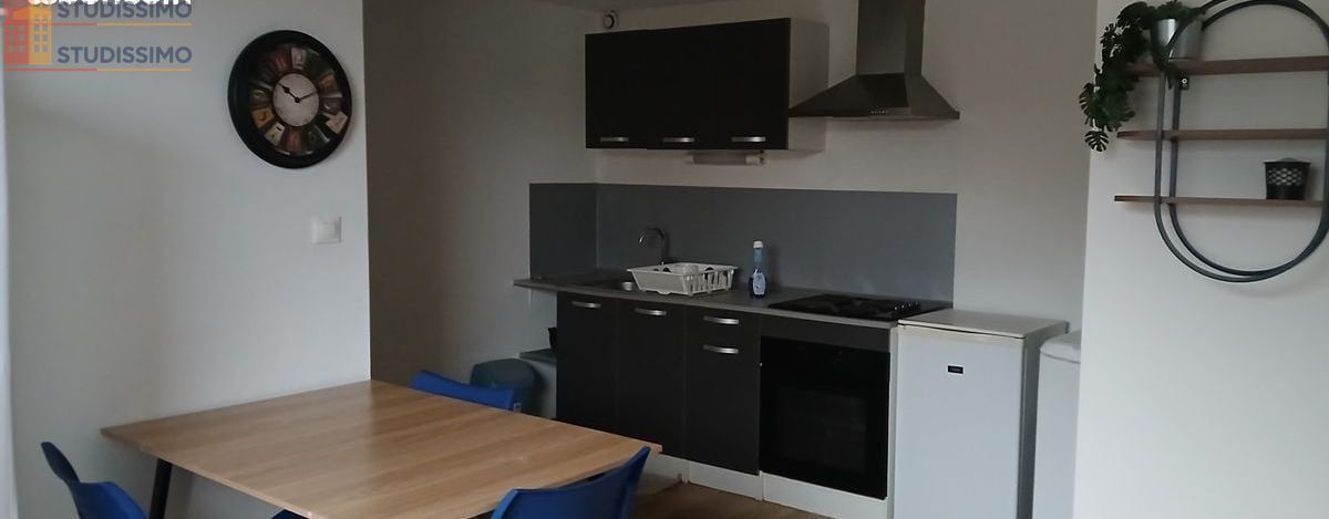 Studio meublé 21m² Mirecourt - Meublé, DPE D - Photo 2