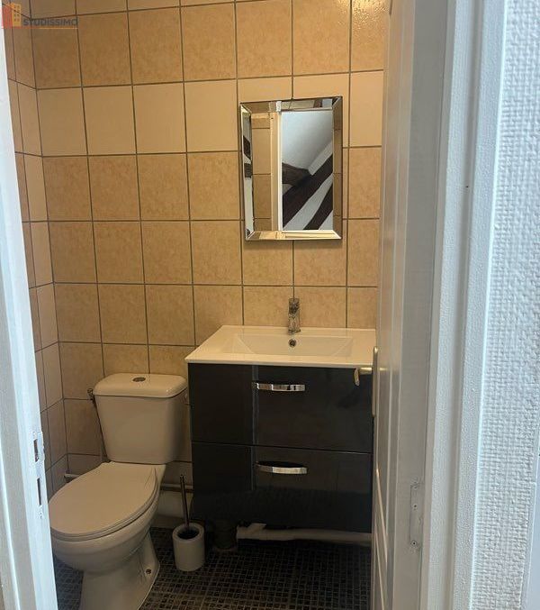 Studio meublé 35m² Migennes - Lumineux, au 2e étage - Photo 1