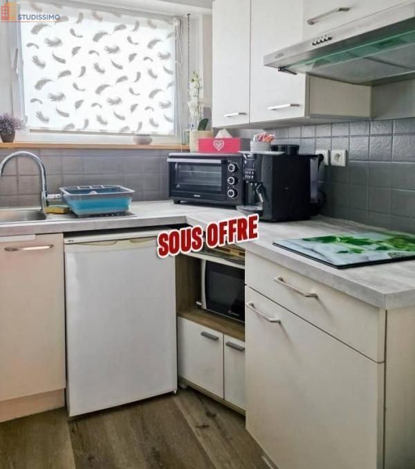 Studio 28m² Colmar - lumineux - Photo 4