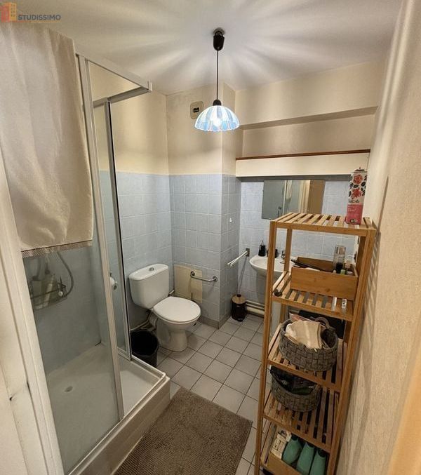 Studio 50m² Limoges - Lumineux, grand séjour - Photo 6