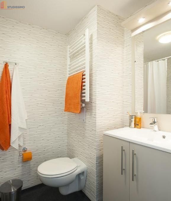Studio 19m² Mulhouse 68100 - Étage élevé, DPE D - Photo 6