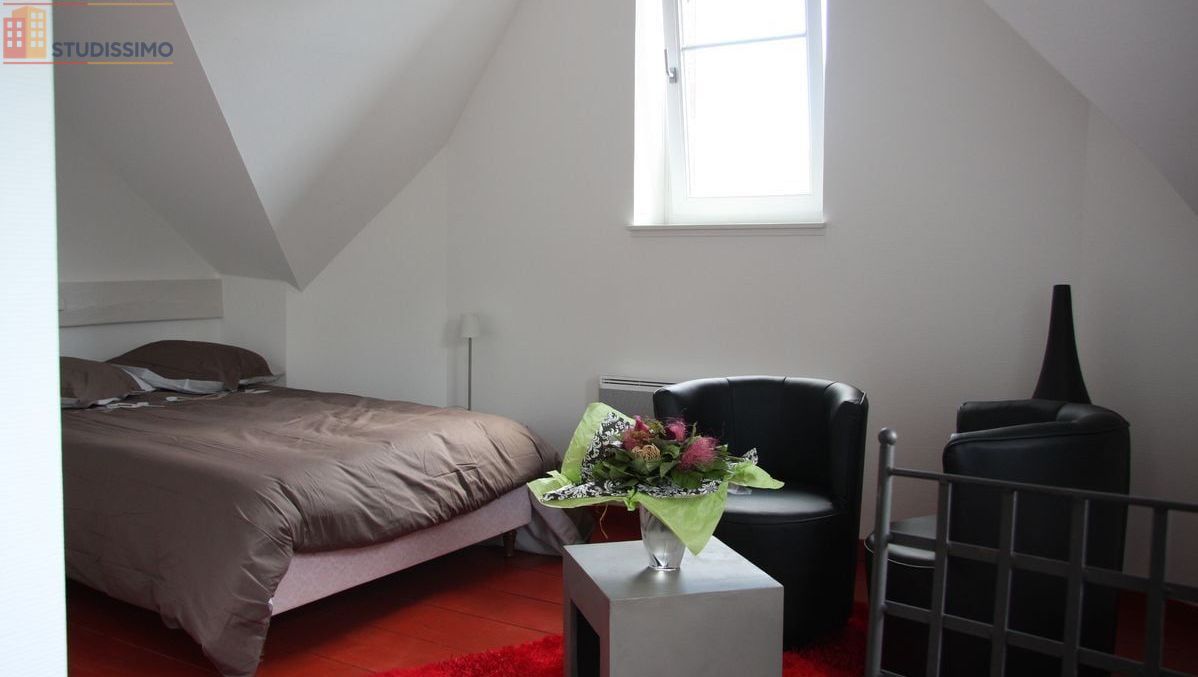 Studio 25m² Colmar - Jardin, proche gare et Petite Venise - Photo 11