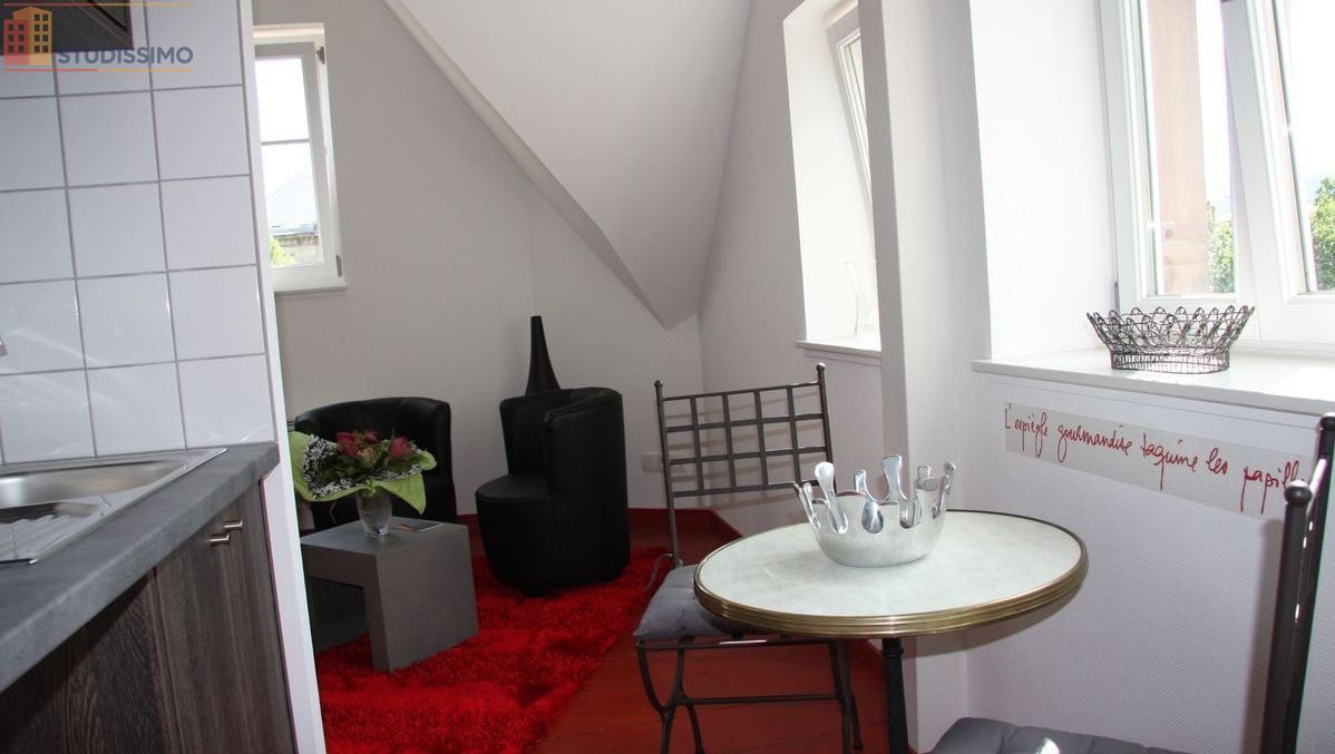 Studio 25m² Colmar - Jardin, proche gare et Petite Venise - Photo 9