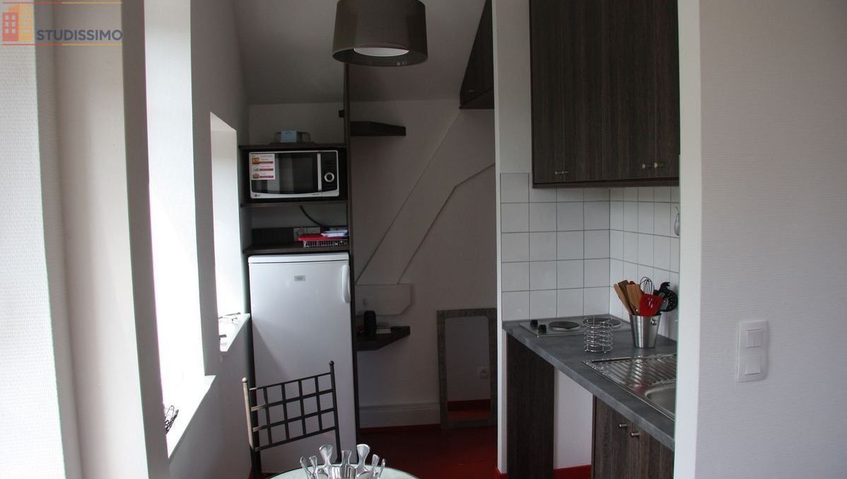 Studio 25m² Colmar - Jardin, proche gare et Petite Venise - Photo 8