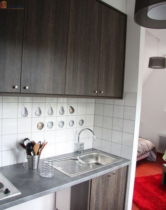 Studio 25m² Colmar - Jardin, proche gare et Petite Venise - Photo 6