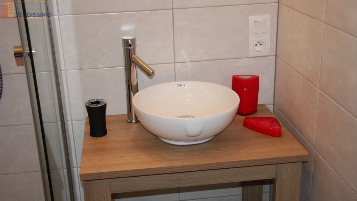 Studio 25m² Colmar - Jardin, proche gare et Petite Venise - Photo 5