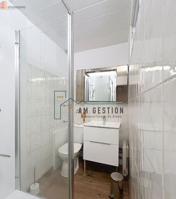 Studio meublé 24m² Aixe-sur-Vienne - Meublé, DPE C - Photo 4