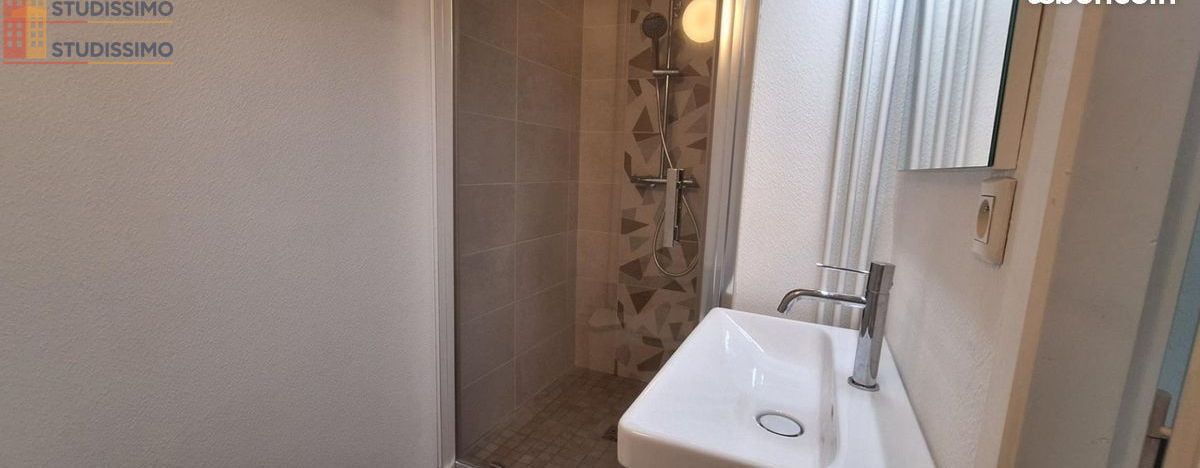 Studio meublé 18m² Limoges - Meublé, DPE C - Photo 11