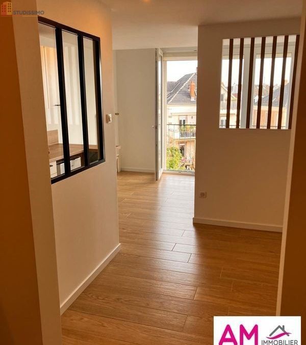 Studio 25m² Colmar - Dernier étage, lumineux - Photo 3