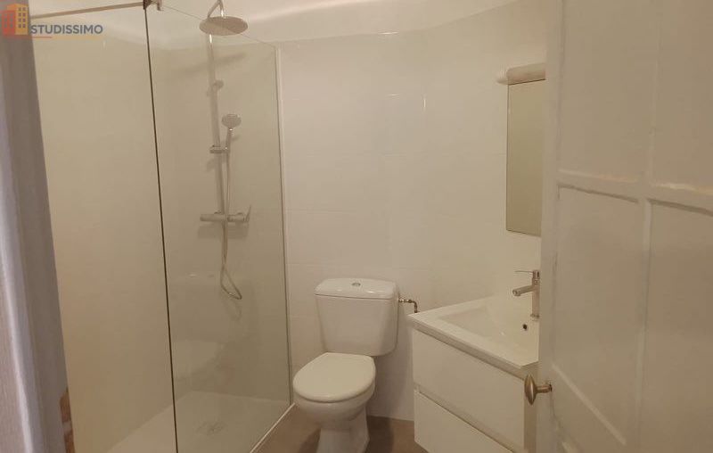 Studio 30m² La Ferté-Loupière - lumineux - Photo 1
