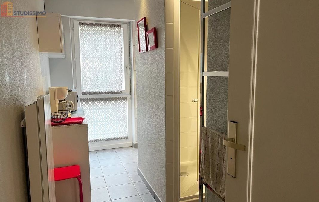 Studio 29m² Kaysersberg Vignoble - Lumineux, proche commerces - Photo 6