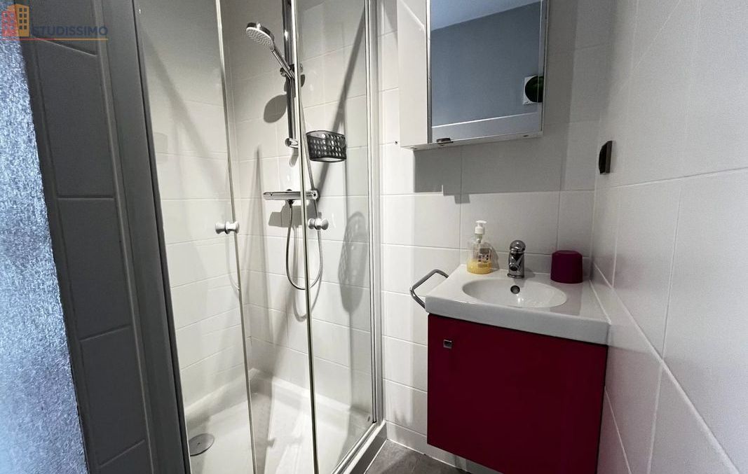 Studio 29m² Kaysersberg Vignoble - Lumineux, proche commerces - Photo 4
