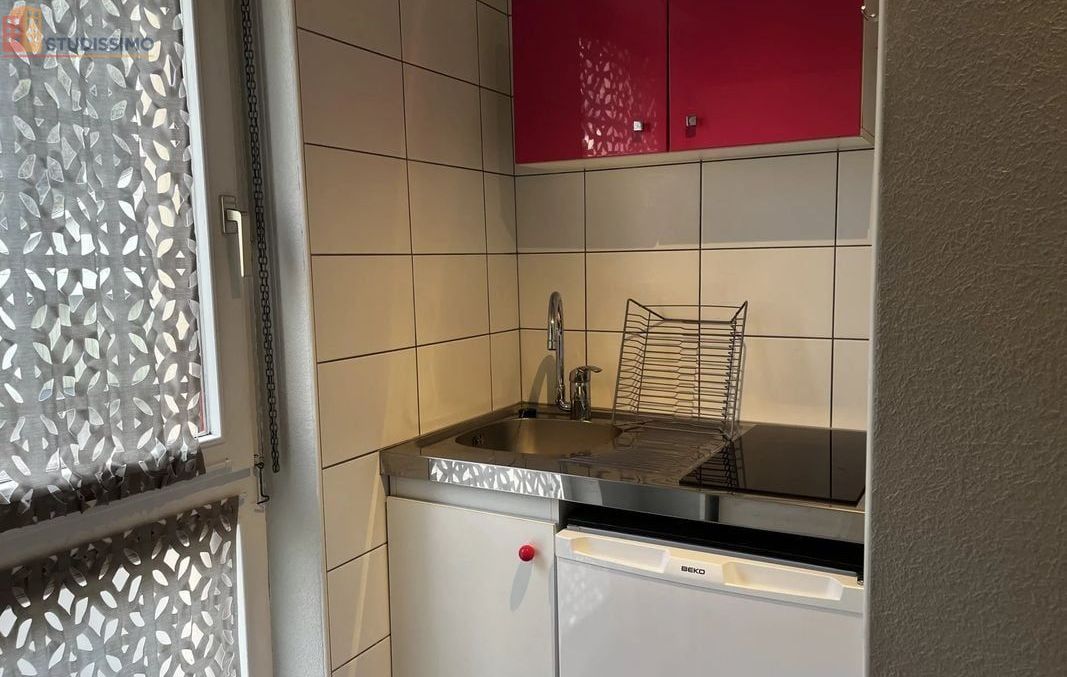Studio 29m² Kaysersberg Vignoble - Lumineux, proche commerces - Photo 3