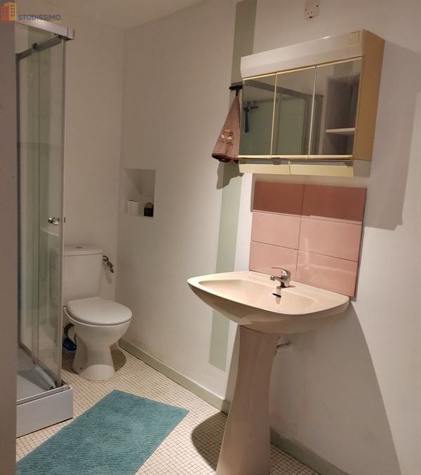 Studio meublé 20m² Toucy 89130 - Centre-ville - Photo 1
