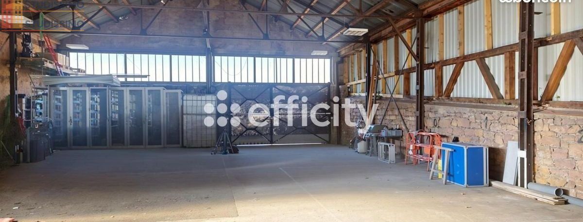 Studio 375m² Guebwiller - Surface exceptionnelle - Photo 2