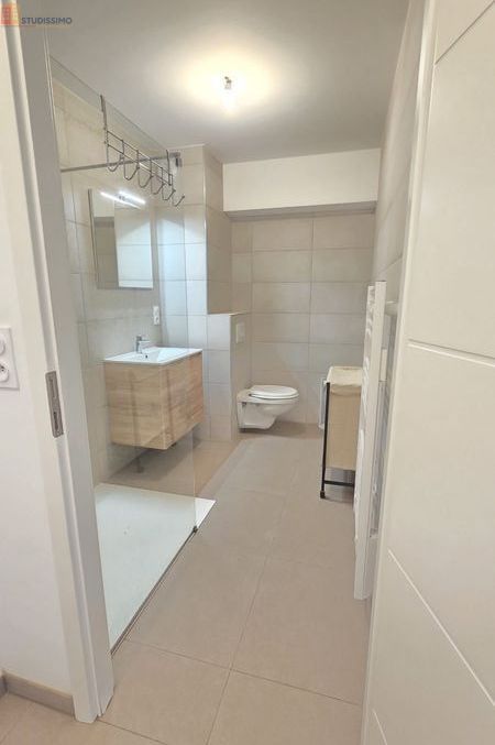 Studio 35m² Colmar - Étage élevé, DPE C - Photo 3