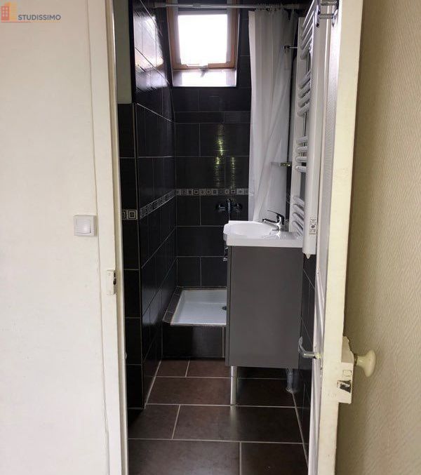 Studio meublé 16m² Pont-sur-Yonne - Meublé, DPE D - Photo 1