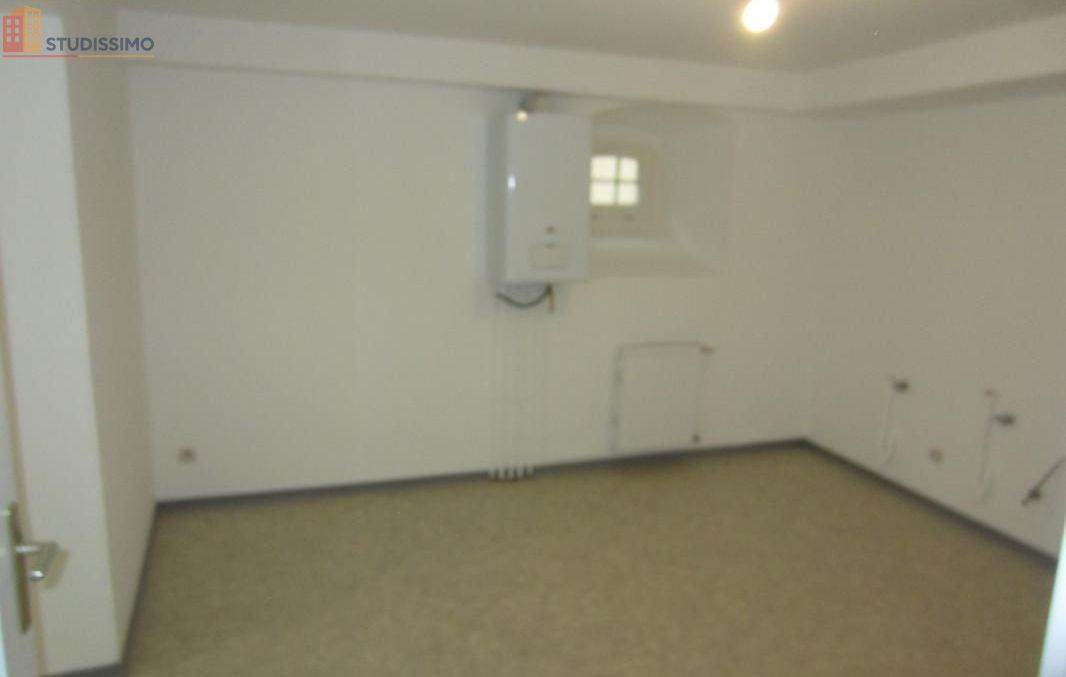 Studio 44m² Soultz-Haut-Rhin - Lumineux, 1 chambre - Photo 6