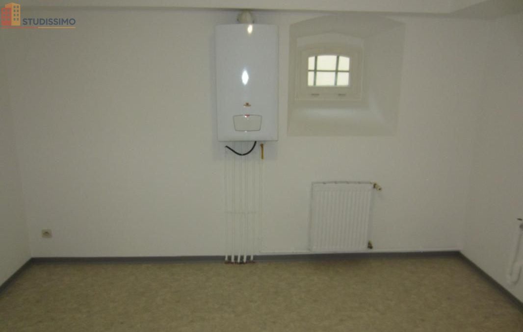 Studio 44m² Soultz-Haut-Rhin - Lumineux, 1 chambre - Photo 4